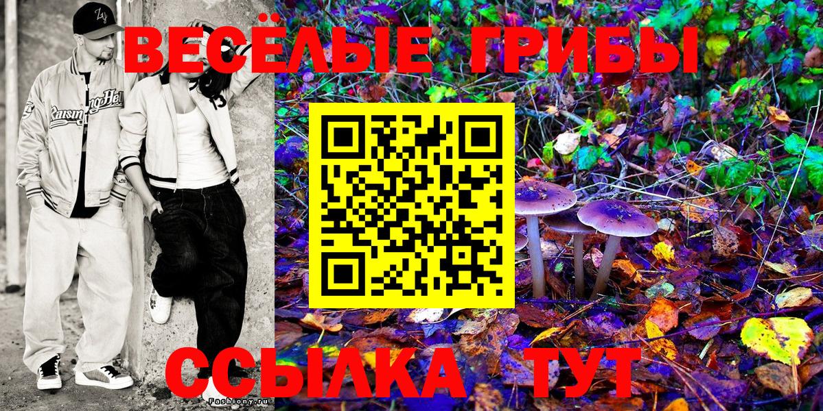Галлюциногенные грибы MAGIC MUSHROOMS  Вход с VPN  Тамбов  Псилоцибиновые грибы прущие грибы 